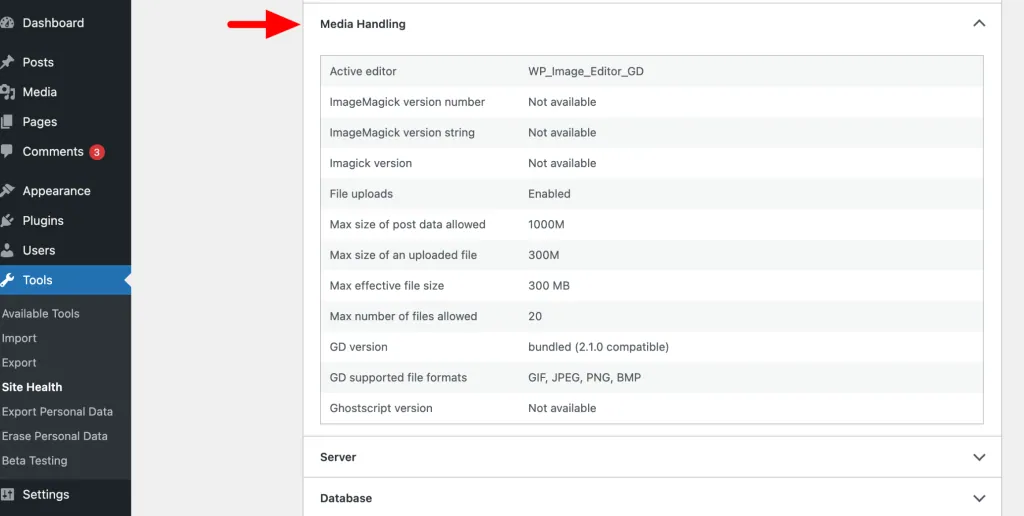 WordPress Site Health Info screen with the Media Handling section expanded, showing the active image editor as GD, ImageMagick and Imagick marked not available, and Ghostscript version not available on this example site